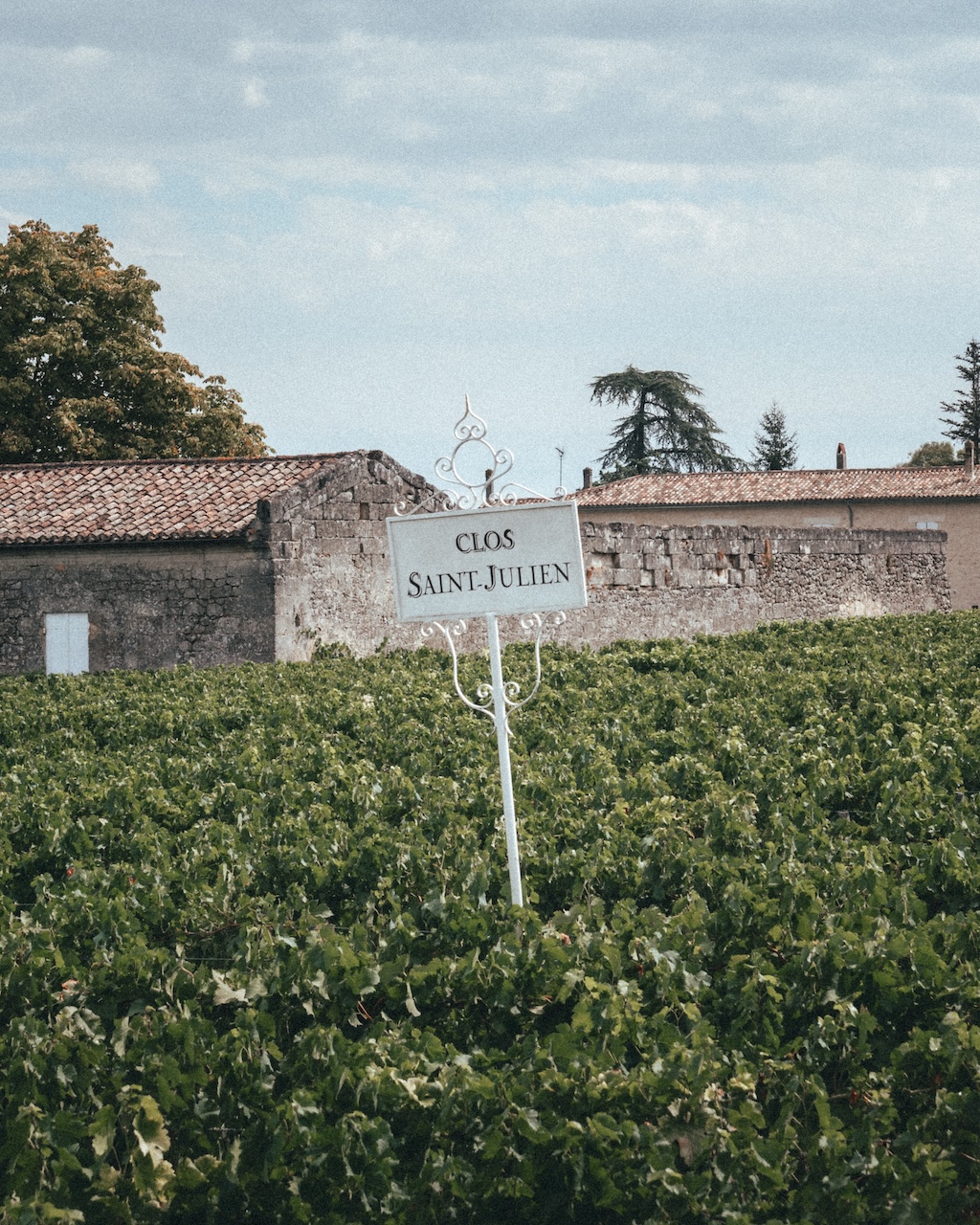 Clos Saint-Julien vineyard sign amidst lush grapevines in Saint-Émilion, Bordeaux wine region, France