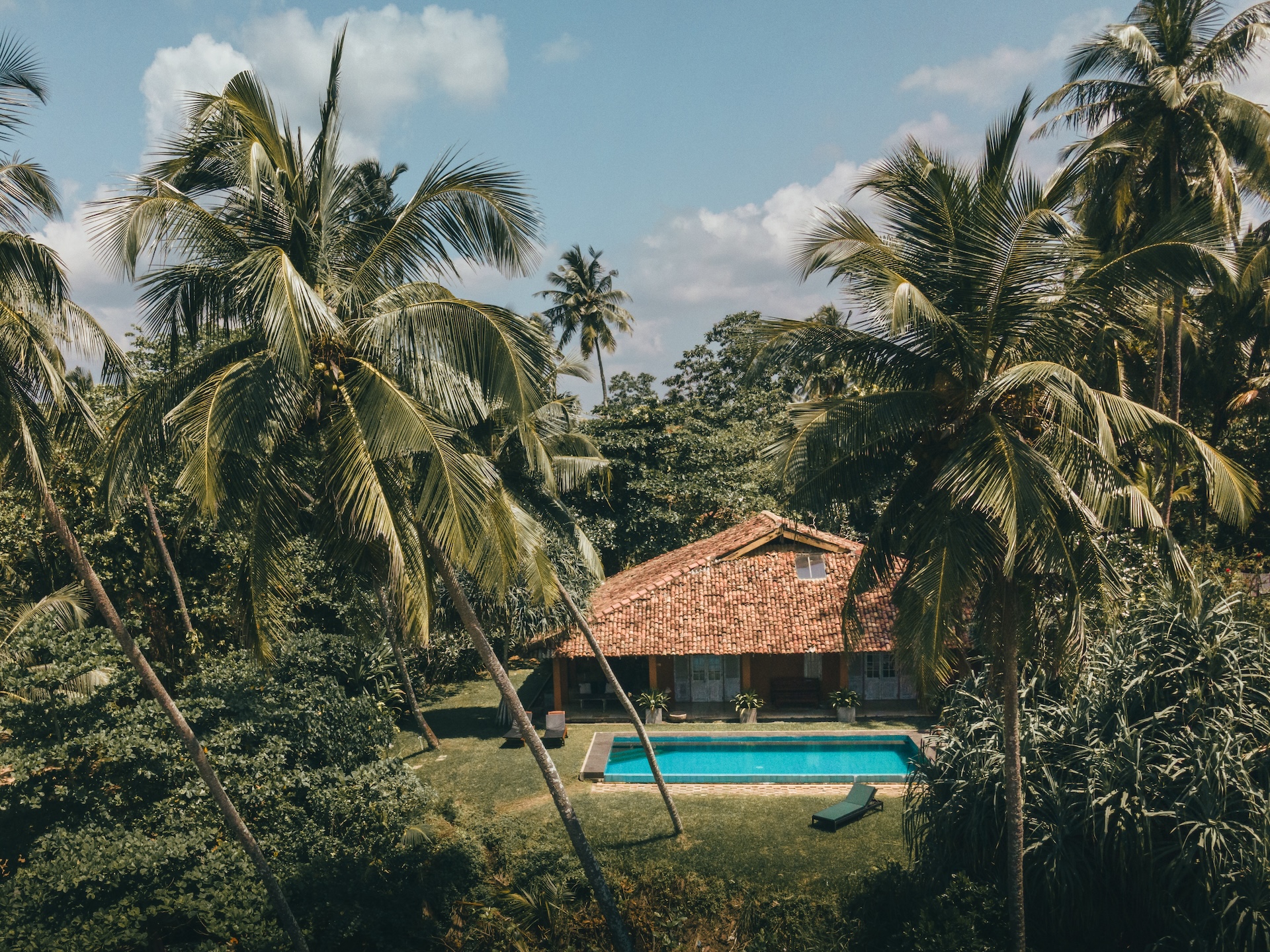 Secluded private villa surrounded by lush palm trees in Hiriketiya, Sri Lanka