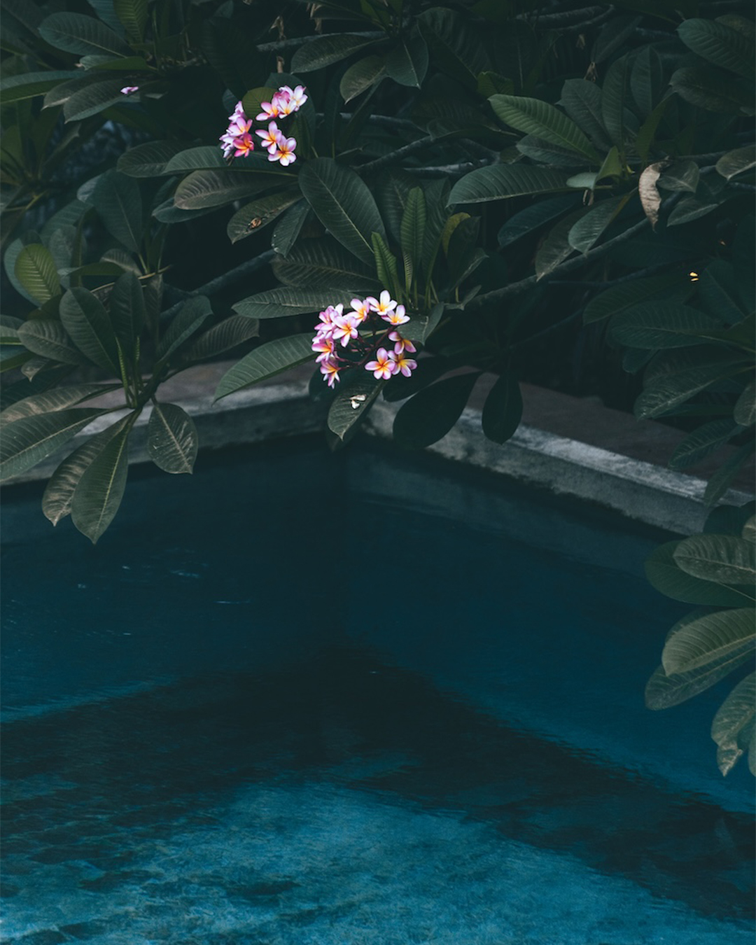 Tranquil pool surrounded by lush frangipani flowers at Xanadu Resort in Lombok