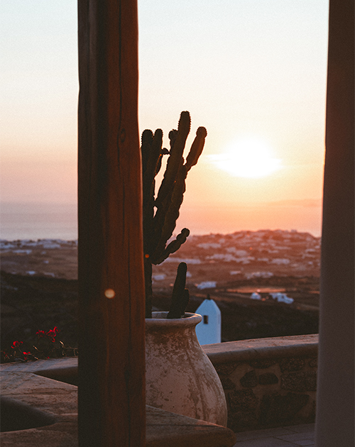 Warm sunset view from a Mykonos seaside house with the silhouette of a cactus, capturing the tranquil ambiance of the Aegean Sea