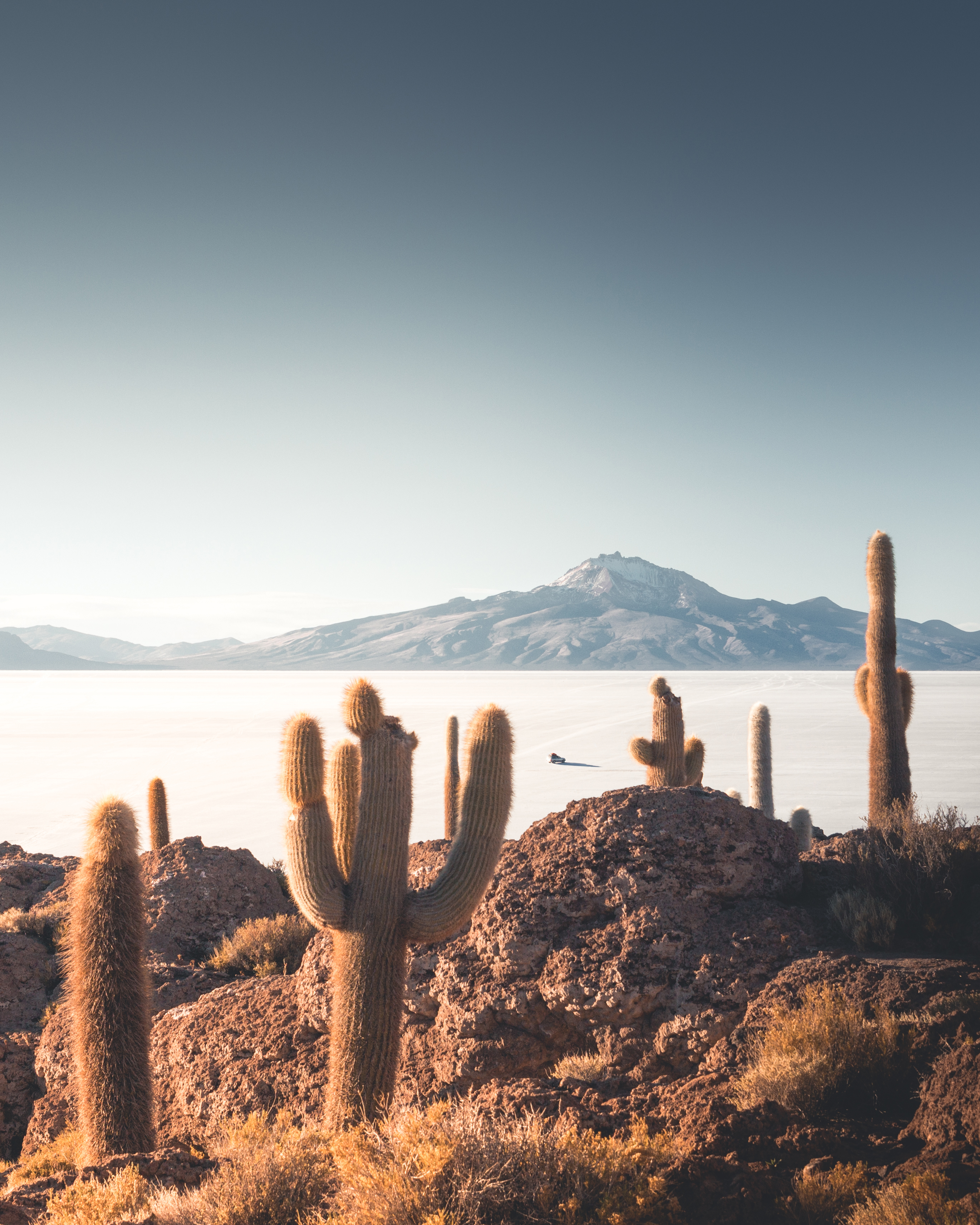 Breathtaking view of Salar de Uyuni in Bolivia with towering cacti and a backdrop of rugged mountains