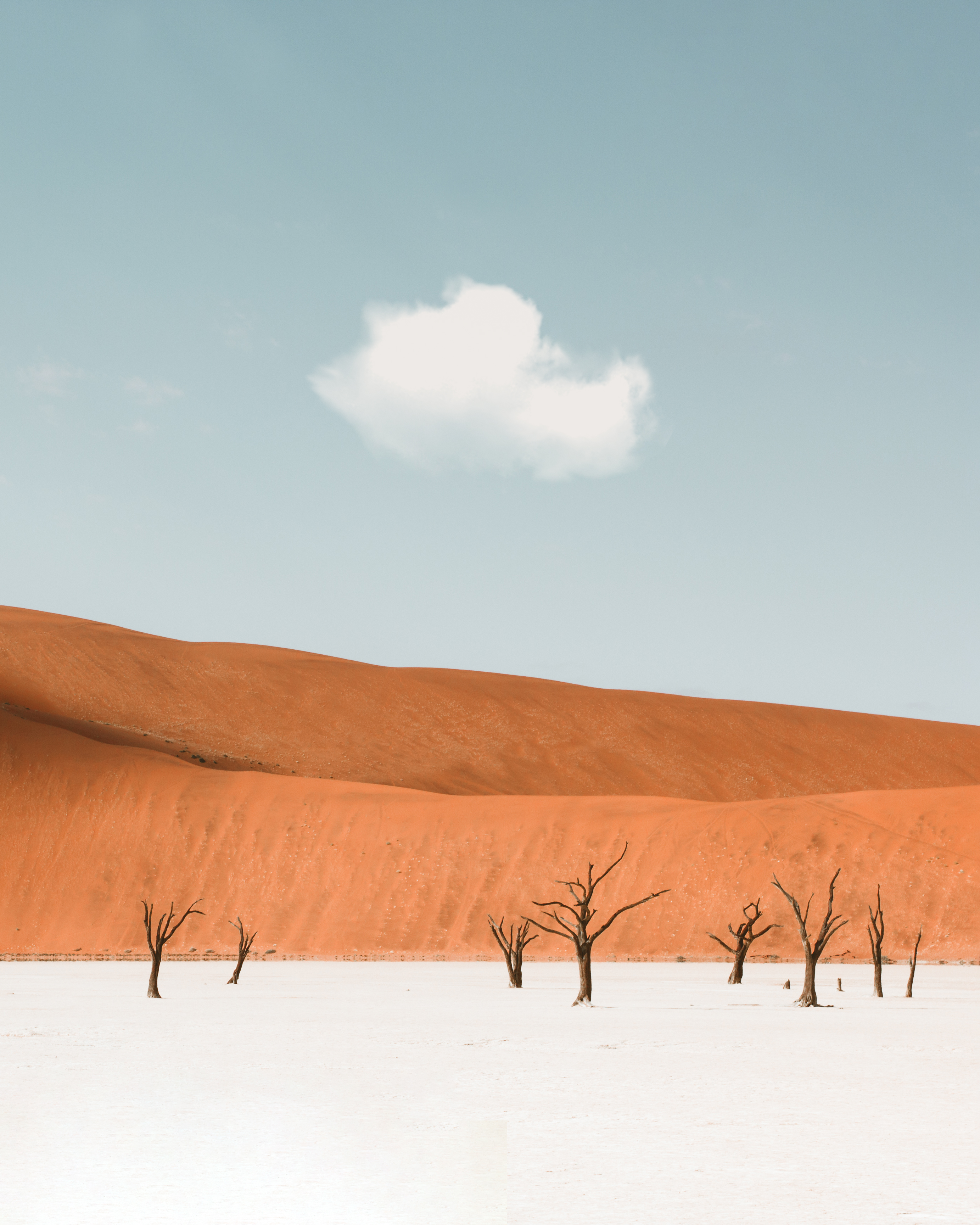 The surreal landscape of Sossusvlei in Namibia with its iconic red dunes and ancient camel thorn trees