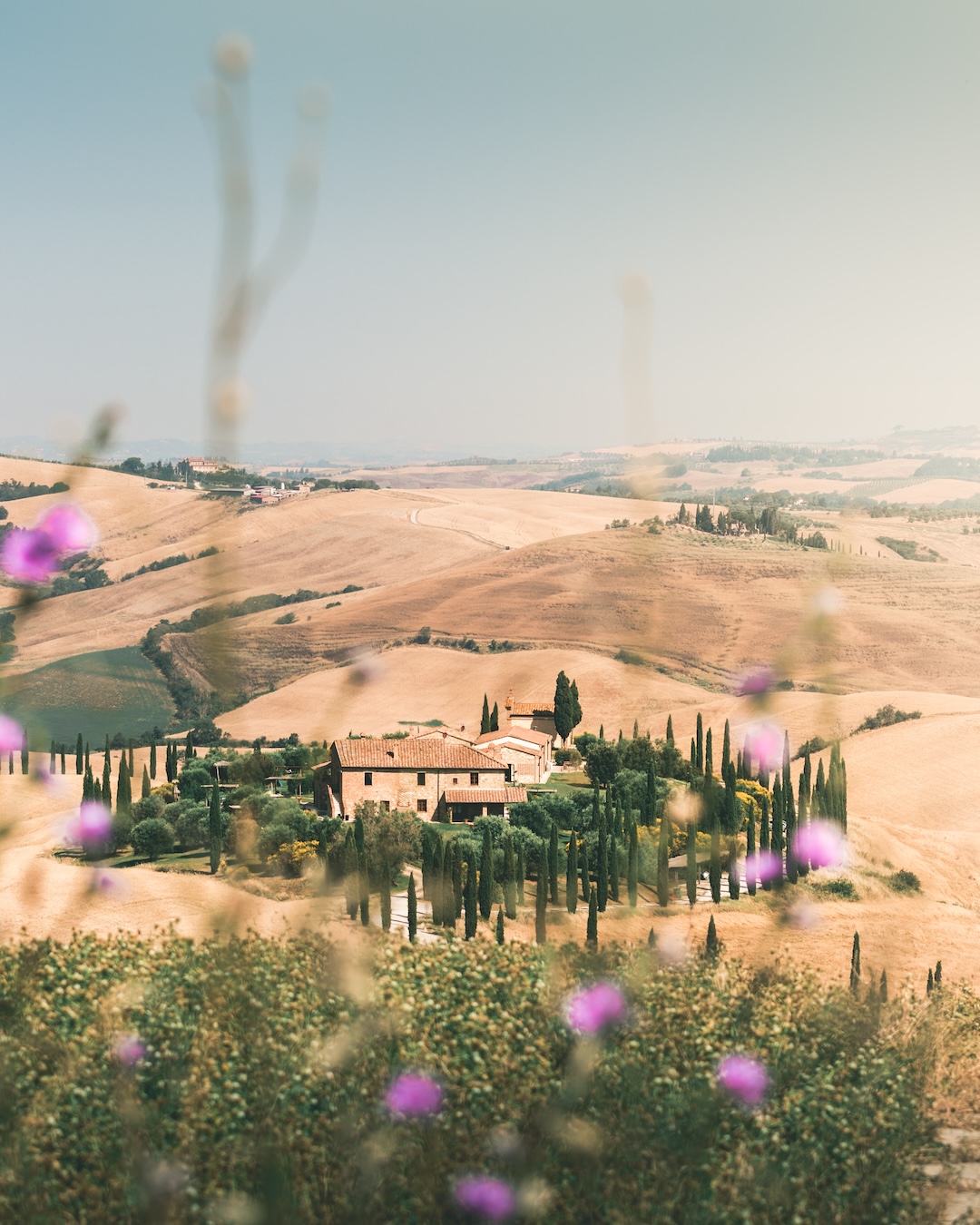 Rolling hills of Tuscany with a farmhouse nestled among Siena's iconic landscapes