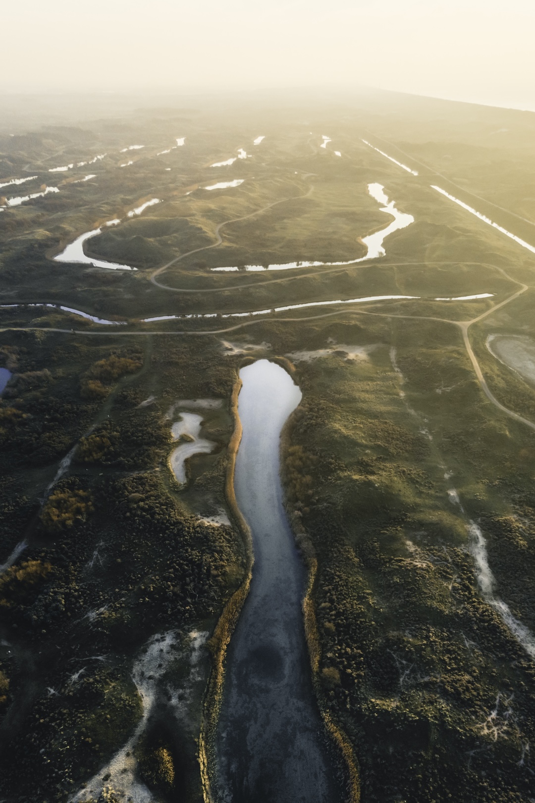 Aerial view of the winding water channels of Waterleidingsduinen in The Netherlands, a haven for diverse wildlife and natural beauty.